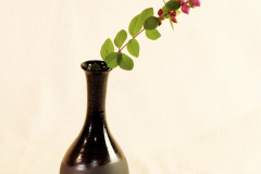IMG_0443-01